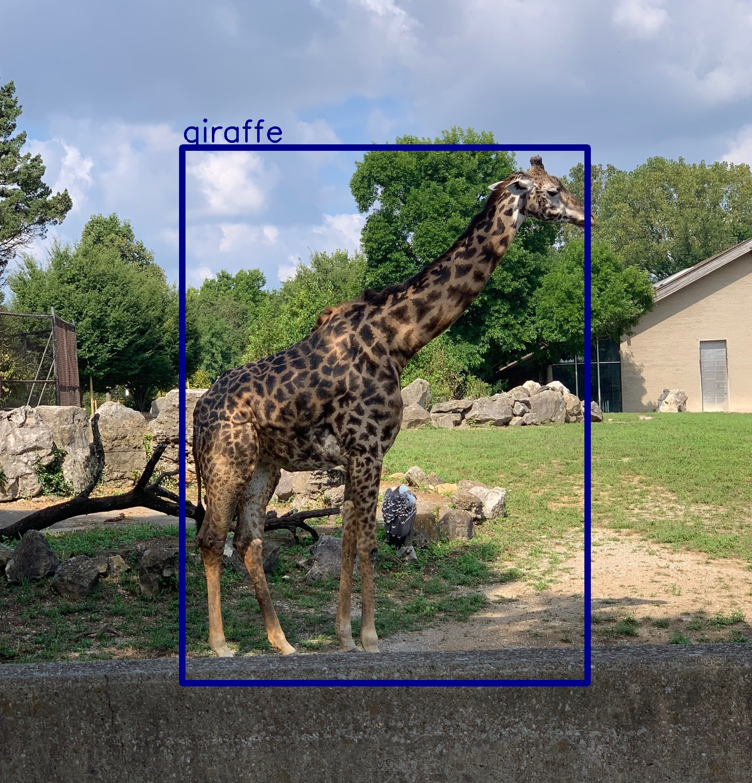 A Beginner's Guide to Object Detection